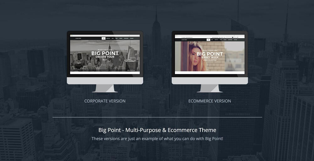 11 Big Point Multi Purpose and Ecommerce Theme