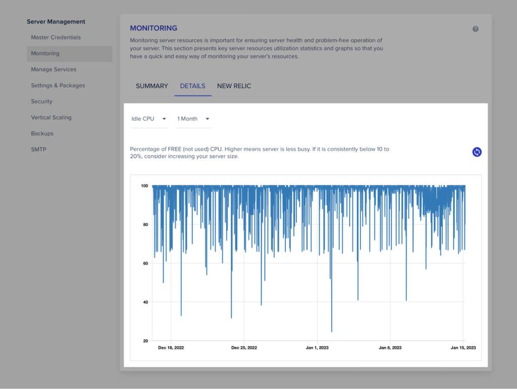 WordPress Performance Optimization