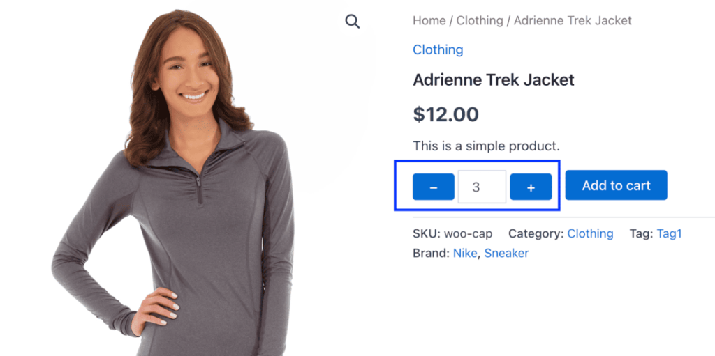 Product page showing custom plus and minus buttons flanking the quantity input