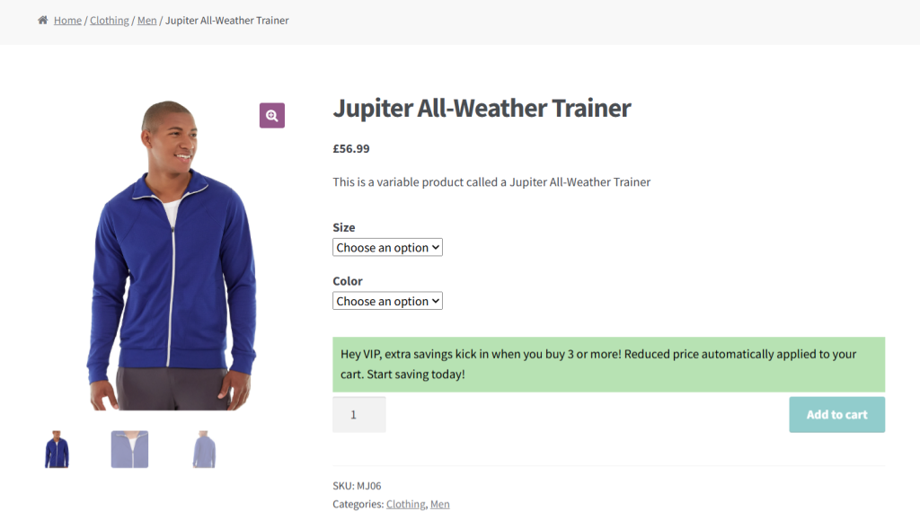 different prices for different users WooCommerce - 10