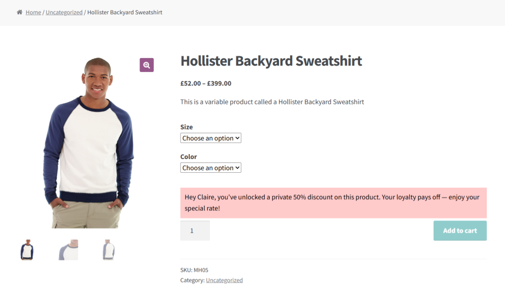 different prices for different users WooCommerce - 9