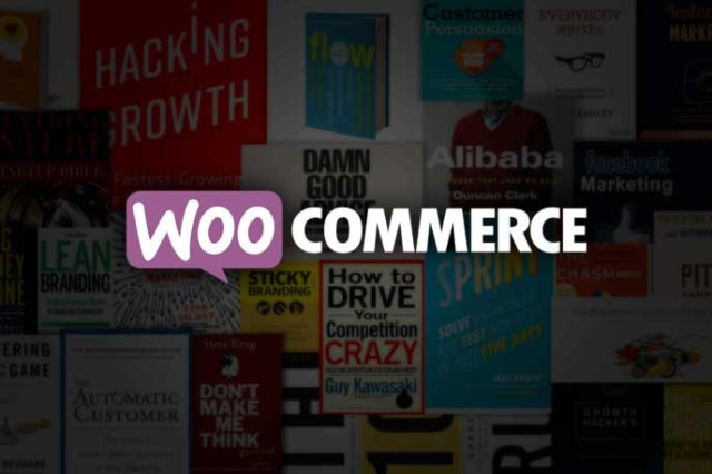The 25 Best eCommerce Books 2017 that will Shape your (WooCommerce Store) for Success