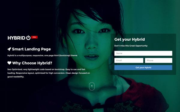Top 13 Marketing Landing pages to stir up the Internet 9 Market with Hybrid 1