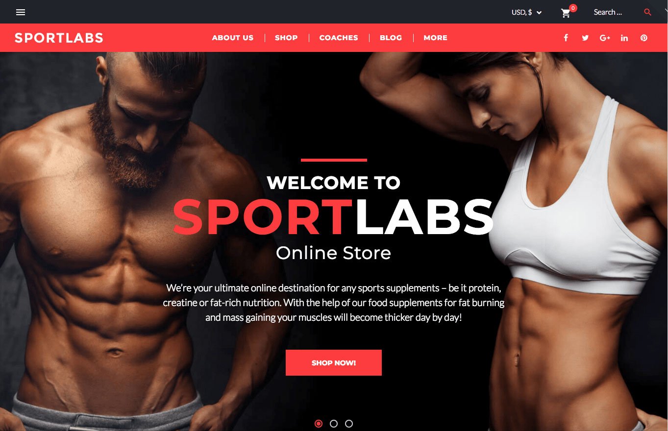 30 Best eCommerce WordPress Themes Powered by WooCommerce 6 SportLabs online store