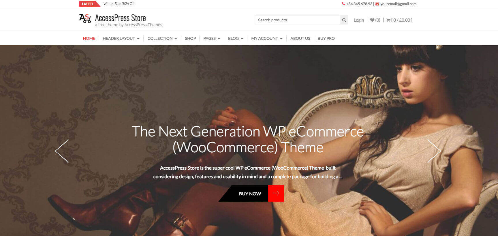 AccessPress Store theme