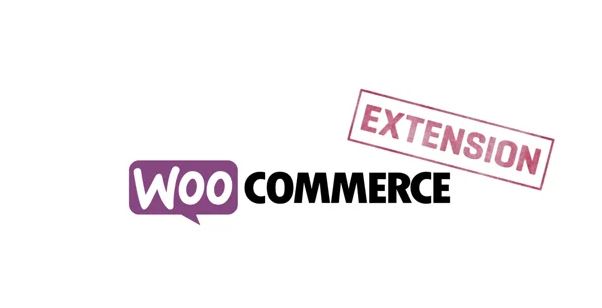 Best WooCommerce Plugins for Your Store’s Extended Capability – 60+ Plugins 12 Top 9 Plugins for WooCommerce Checkout