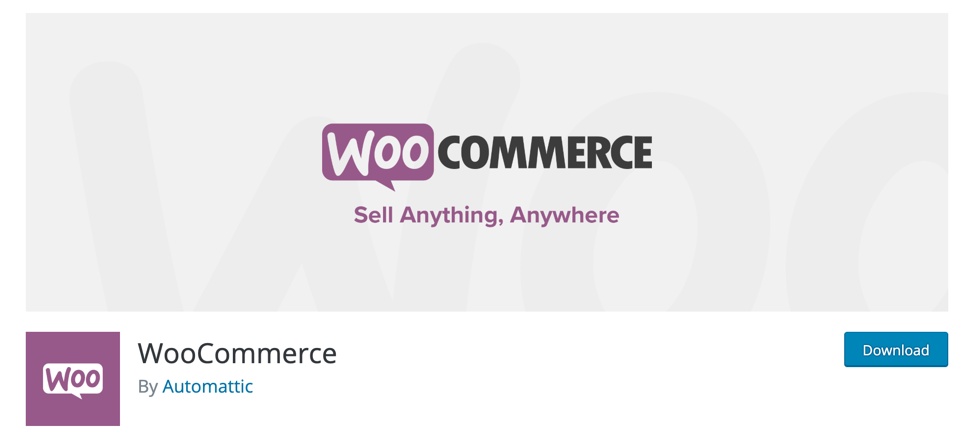 What to Consider Before Starting Your eCommerce Store? 1 WooCommerce Plugins